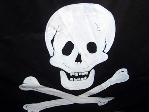 skull-crossbones.jpg