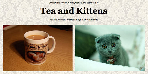 tea-and-kittens.jpg