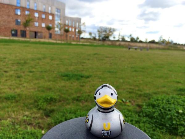 The University of York just sent a rubber duck into space