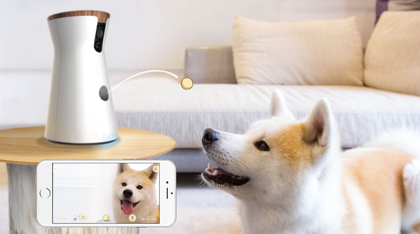 pet camera talk to your pet